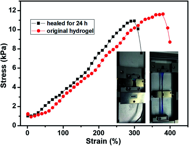 Fig. 7