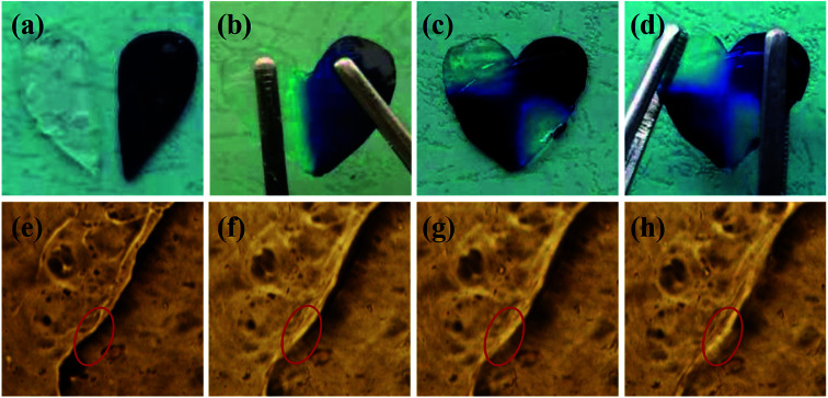 Fig. 5