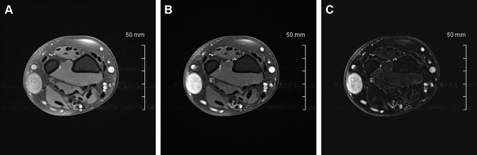 Fig. 4