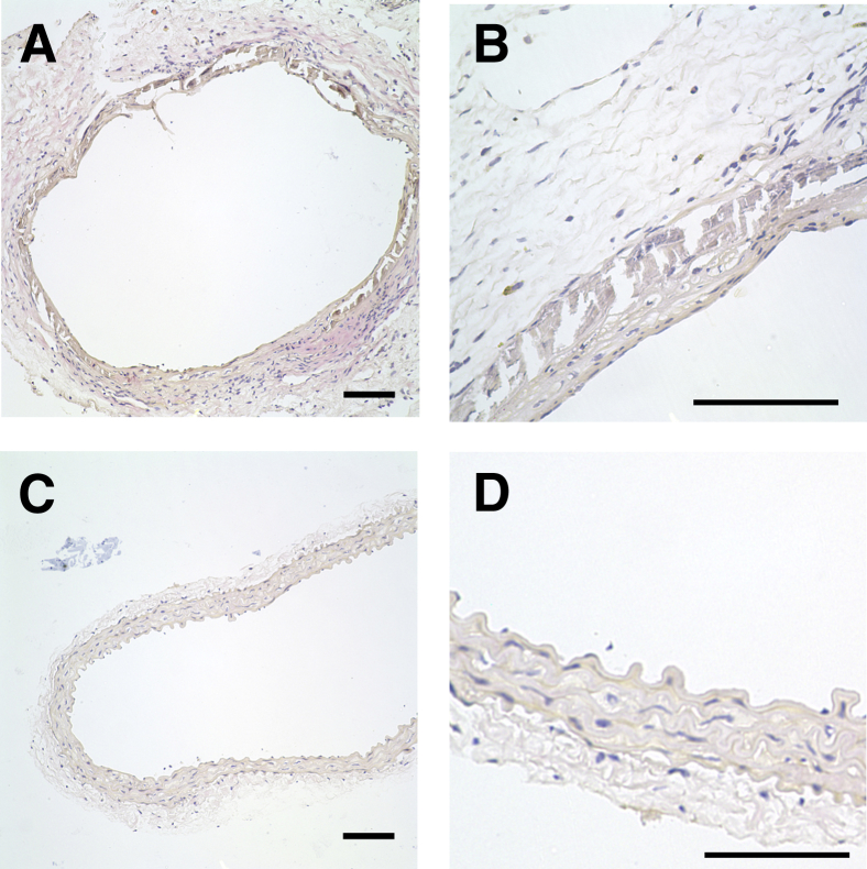 Figure 5