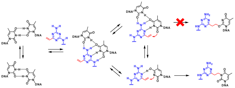 Figure 9.