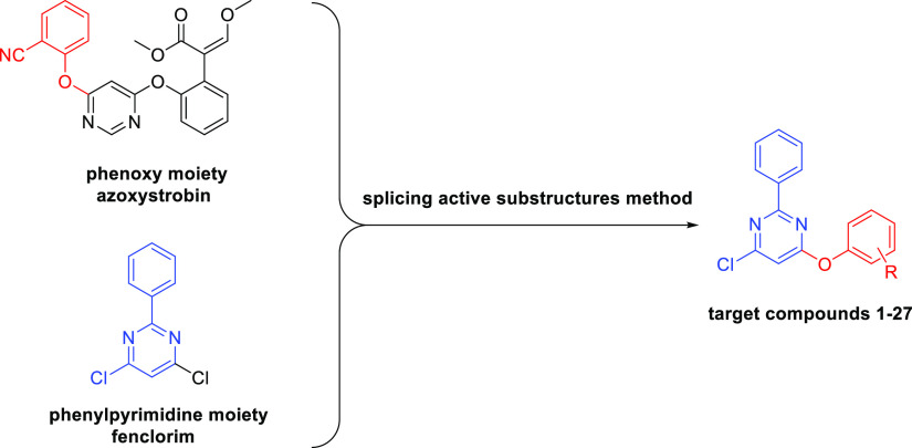 Scheme 1