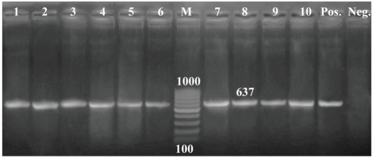 Figure 3.