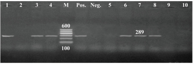 Figure 5.