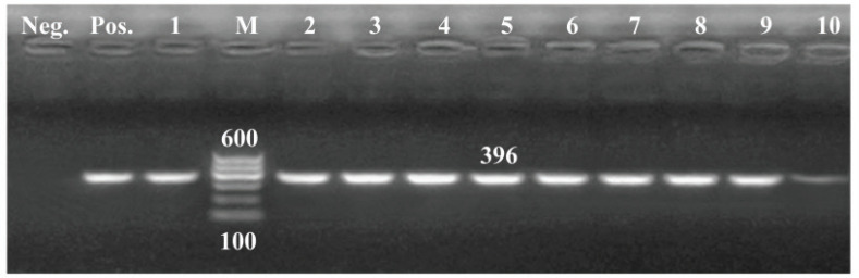 Figure 4.