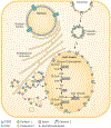 Figure 2 |