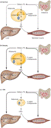 Figure 3 |
