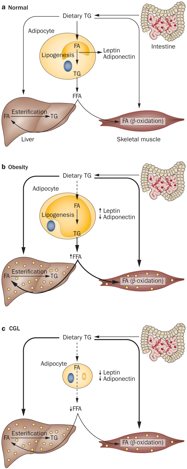 Figure 3 |