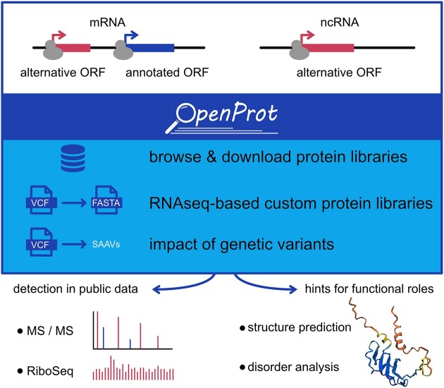 Graphical Abstract