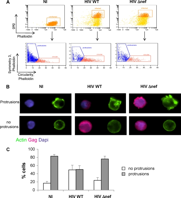 FIG. 2.