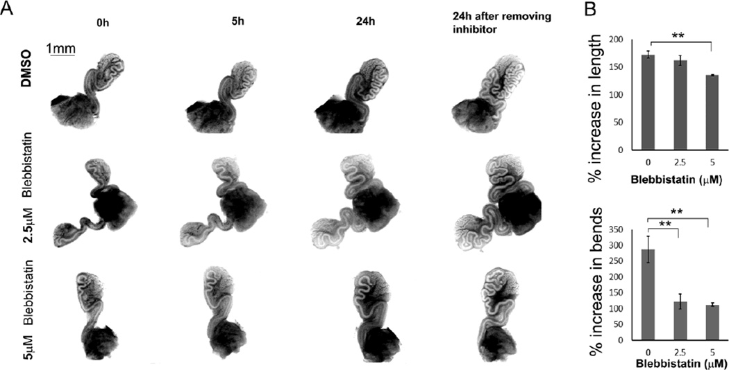 Fig. 10