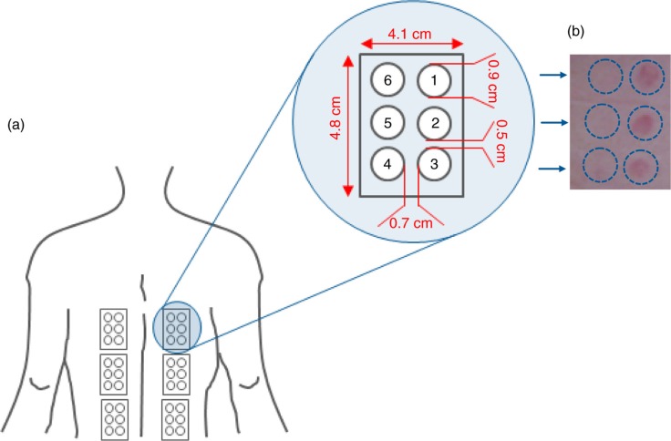 Fig. 2