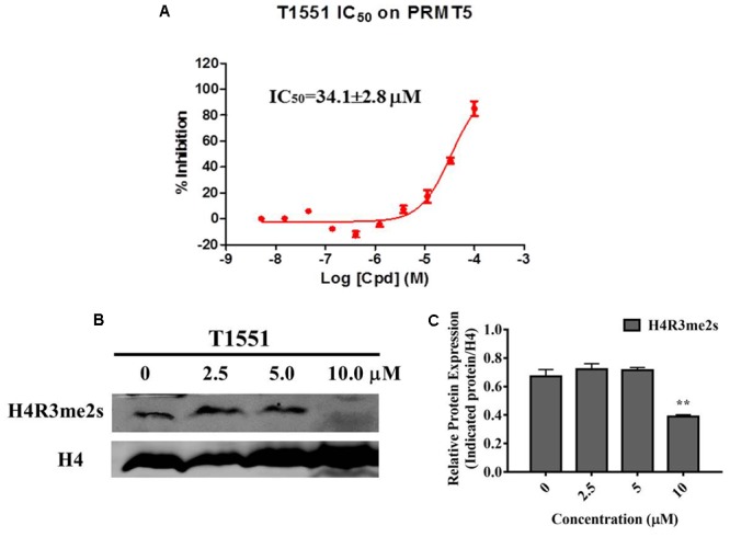 FIGURE 3