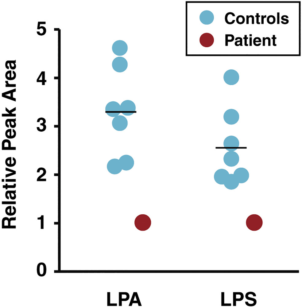 Figure 7.