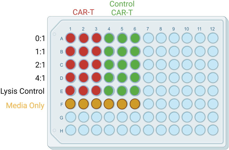 Figure 1