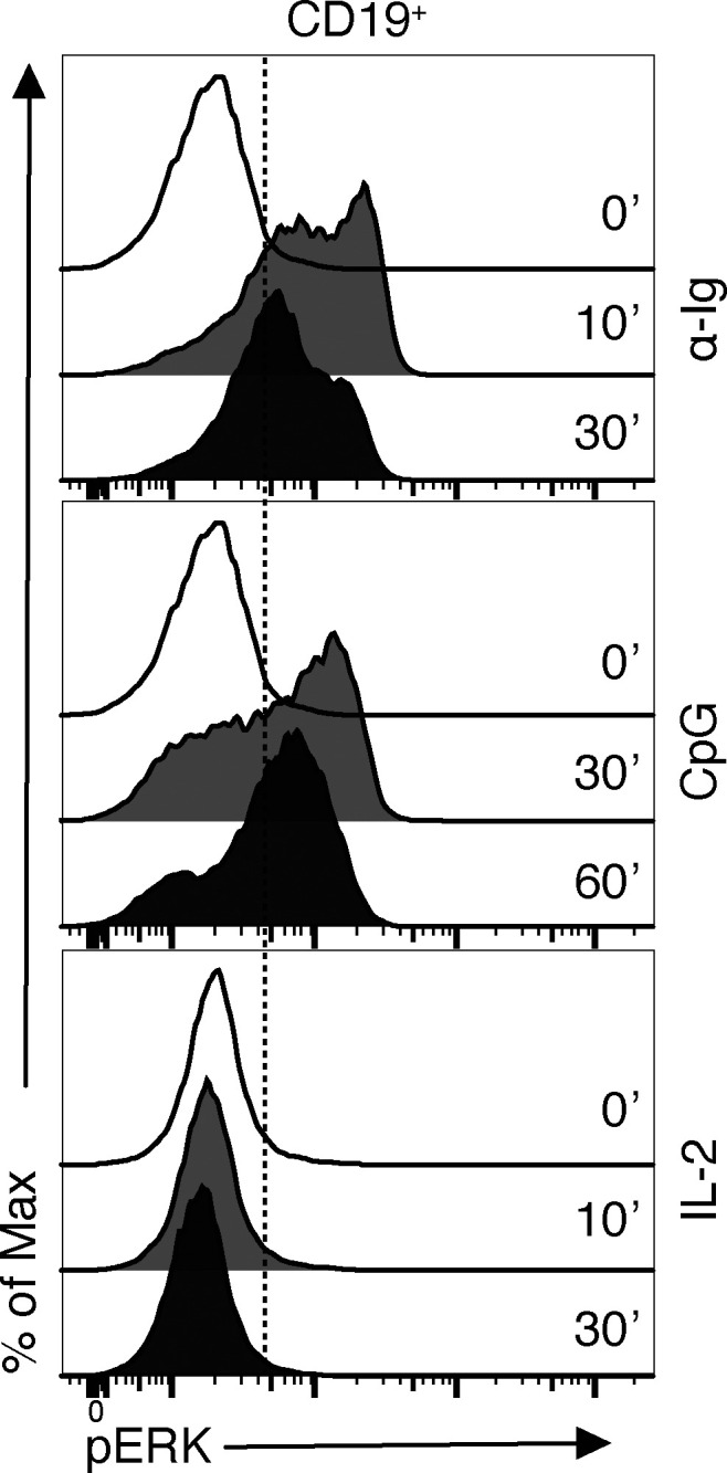 Figure S1.