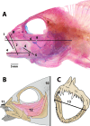 Fig. 1