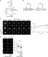 Extended Data Fig. 6