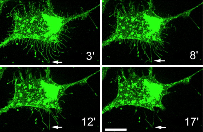 Figure 10