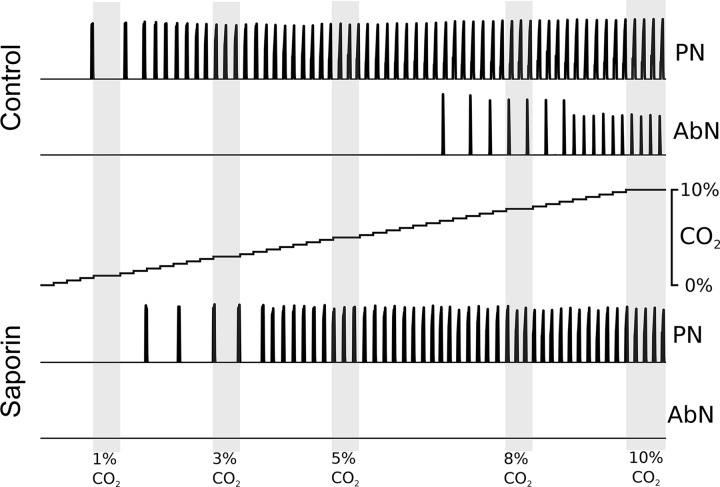 Fig. 14.