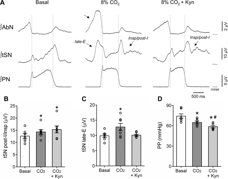 Fig. 9.