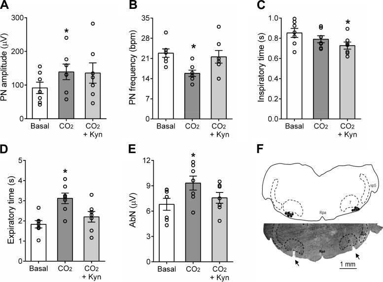 Fig. 8.