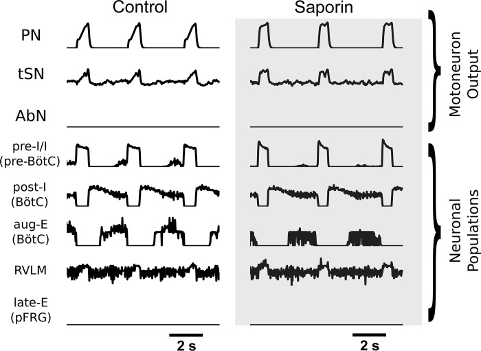 Fig. 12.