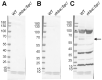 Fig 9