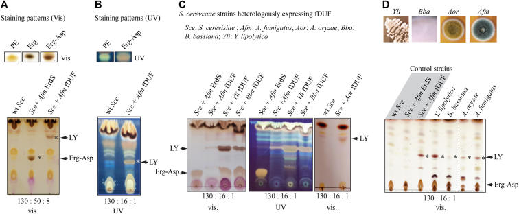 Figure 2