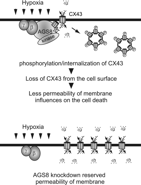 FIGURE 9.