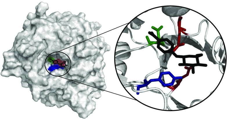 Fig. 2