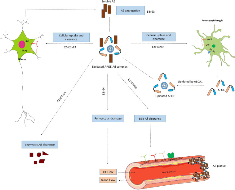 FIGURE 4