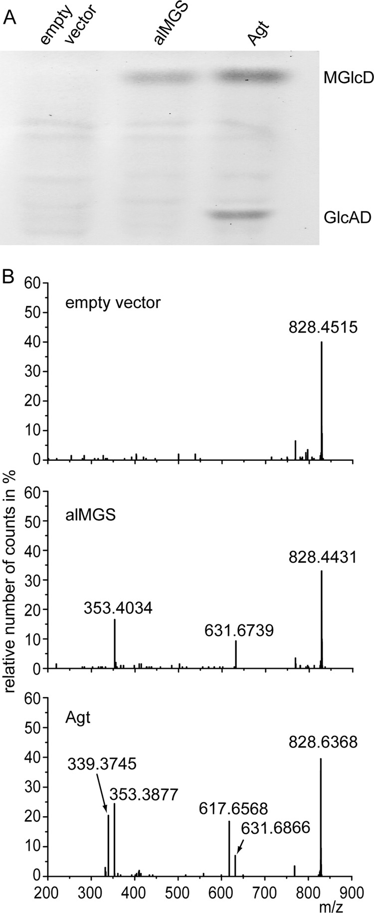 FIGURE 4.