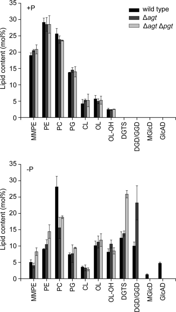 FIGURE 6.