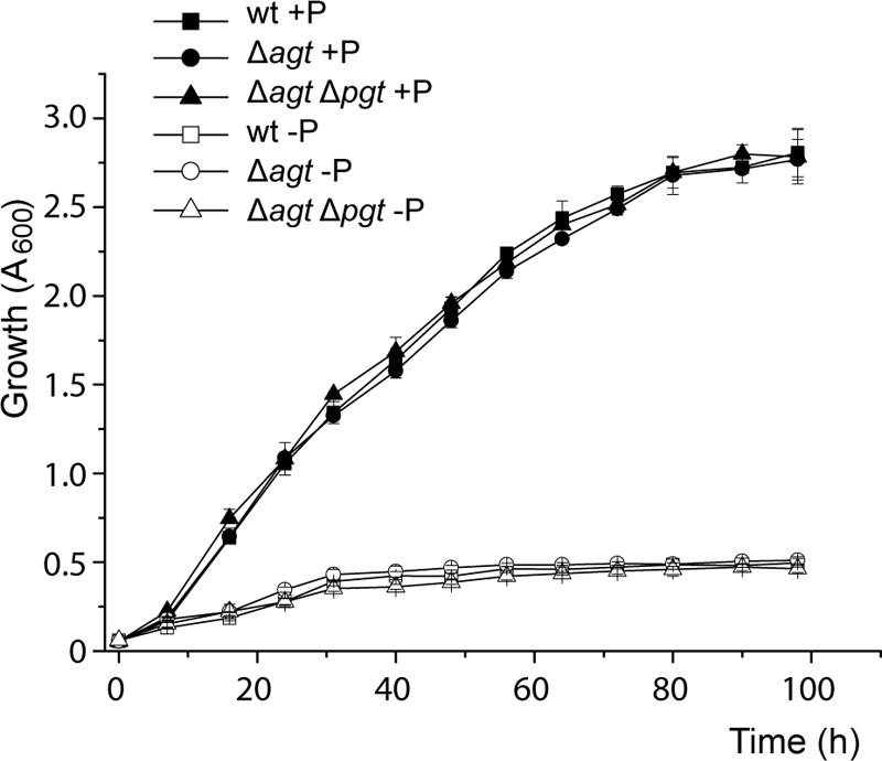 FIGURE 7.