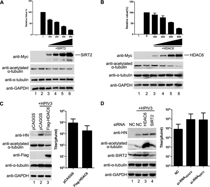 FIG 6