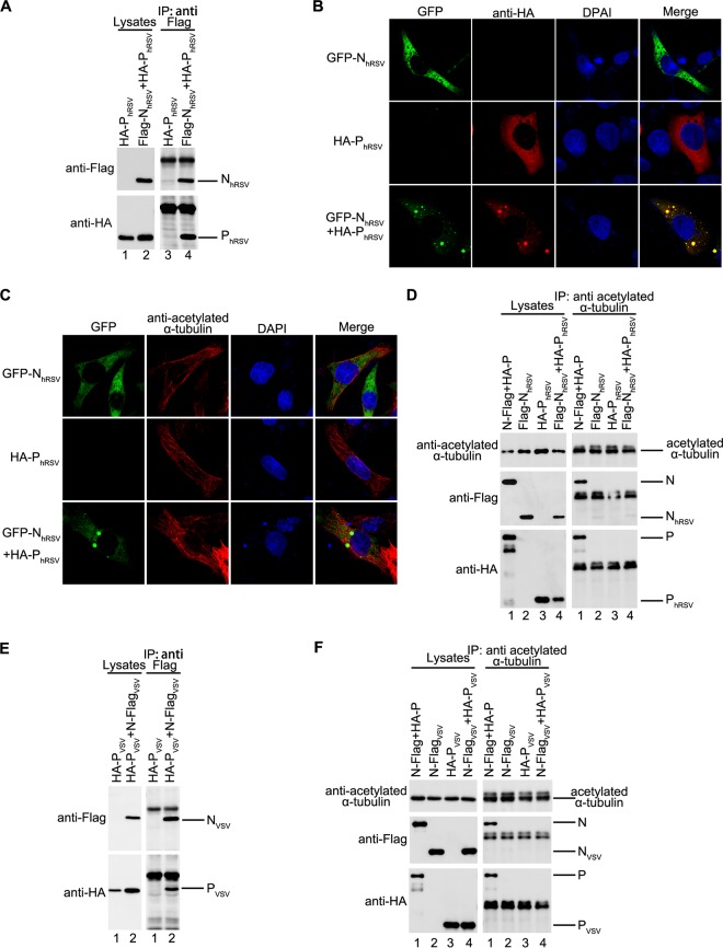 FIG 4