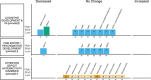 Harvest plots showing qualitative effect estimates of plastic-associated chemical exposure on child neurodevelopment outcomes