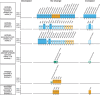Harvest plots showing qualitative effect estimates of plastic-associated chemical exposure on respiratory outcomes