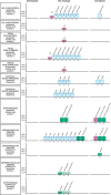 Harvest plots showing qualitative effect estimates of plastic-associated chemical exposure on circulatory outcomes
