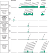 Harvest plots showing qualitative effect estimates of plastic-associated chemical exposure on cancer outcomes
