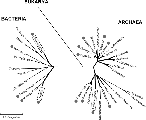 FIG. 8.