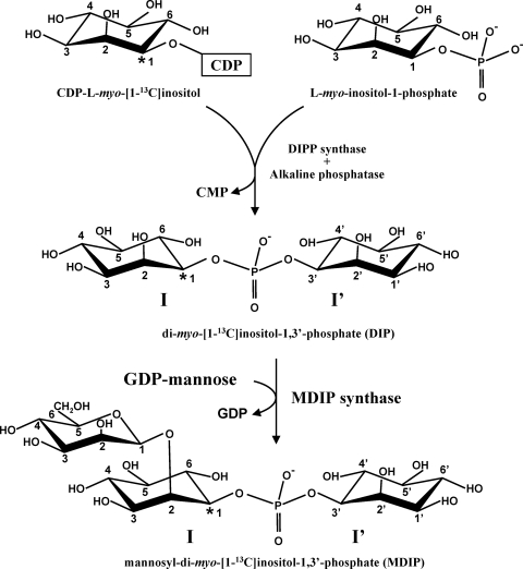 FIG. 6.