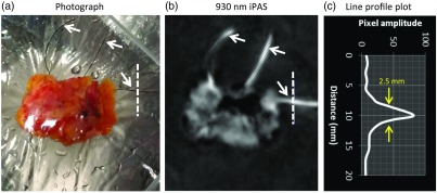 Fig. 3