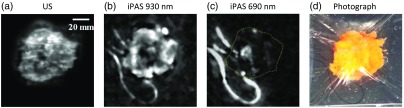 Fig. 6