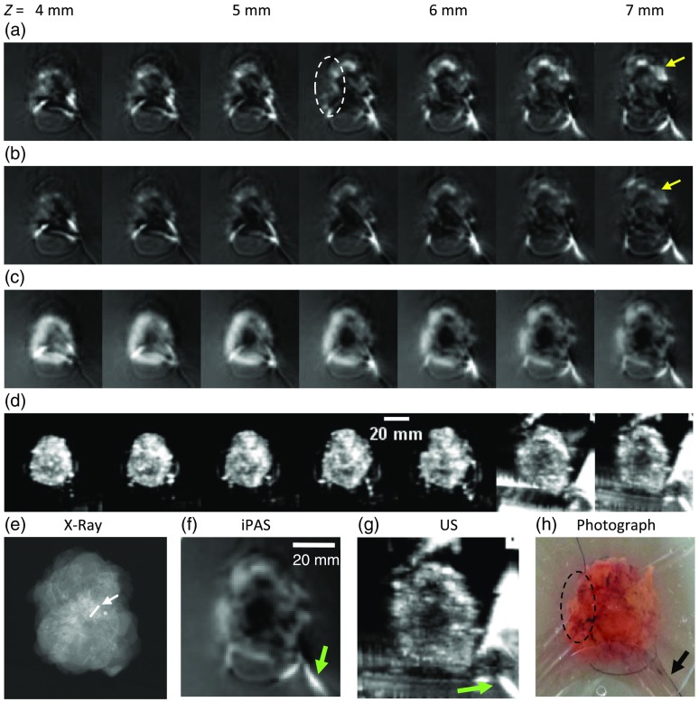 Fig. 4