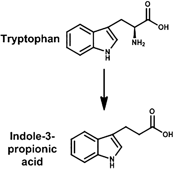 Fig. 16.