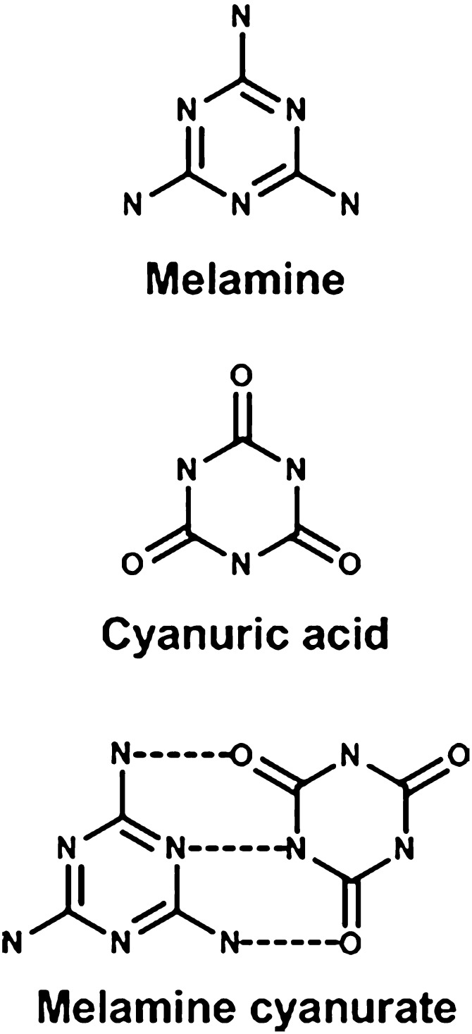 Fig. 12.