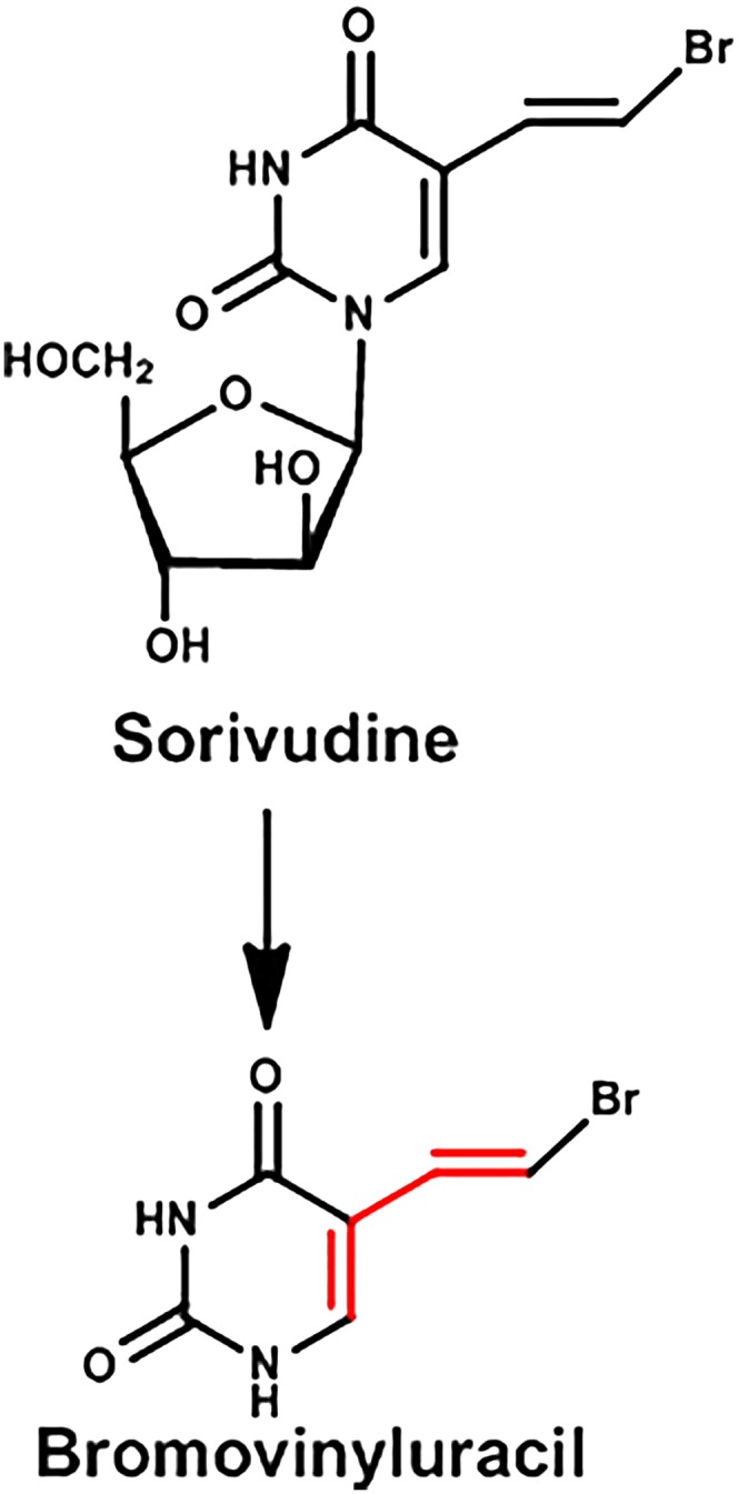 Fig. 8.