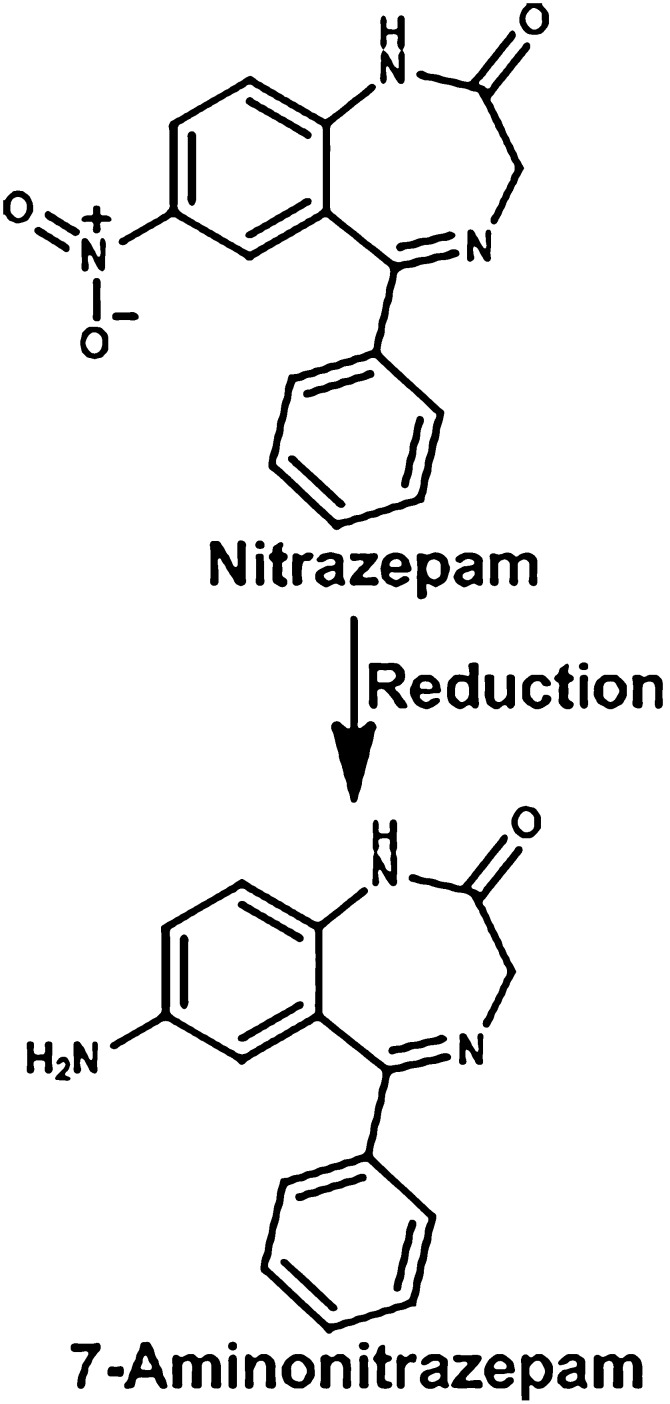 Fig. 13.